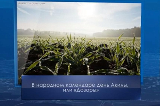 День Акилы. Календарь Губернии от 27 июля