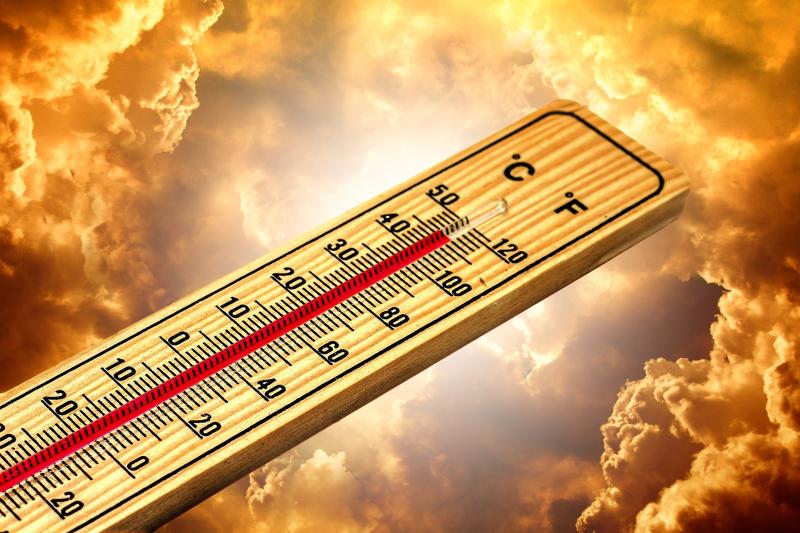 В Самарской области объявили оранжевый уровень опасности из-за аномальной жары