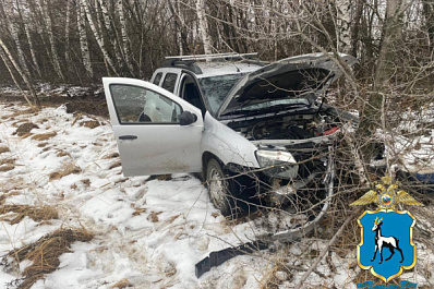 В Самарской области 19 ноября на трассе иномарка вылетела в кювет