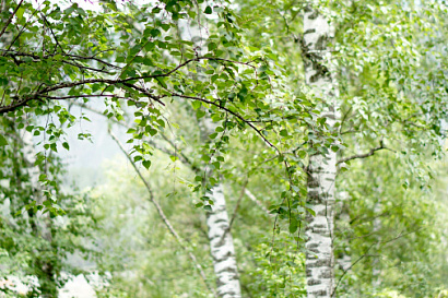 Название статьи