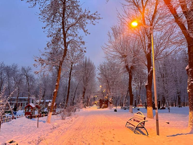 В Самарской области 9 декабря побито пять морозных рекордов