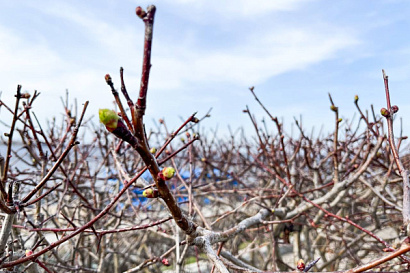 Название статьи