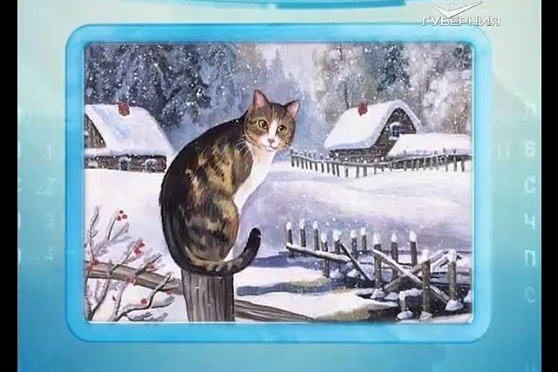 Календарь губернии 13.02.2016