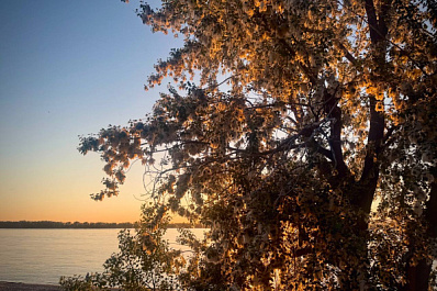 В Самарской области 4 июня потеплеет до 28 градусов 