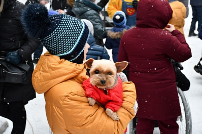 Немецкие овчарки, лабрадор, шарпей и йорк: в Самаре служебные собаки удивили детей-инвалидов трюками