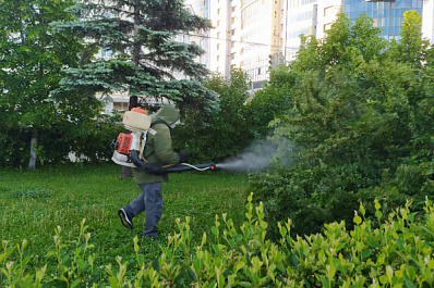 Общественные территории в Самаре обработают от комаров в июне-июле 2021 года