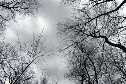 Название статьи