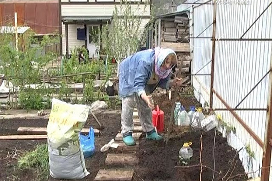 Дачные советы 05.05.2016