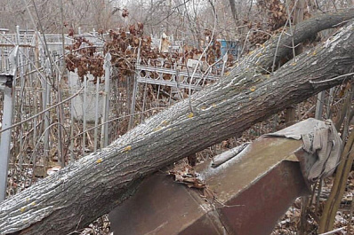 В Самаре прокуратура потребовала привести в порядок кладбище