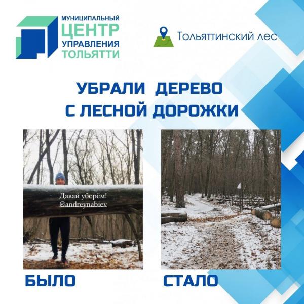 Муниципальный центр управления Тольятти решает проблемы жителей