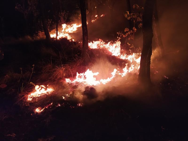 За трое суток в Самарской области произошло 120 пожаров