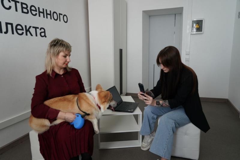 Самарцы разработали приложение для создания цифрового паспорта собак