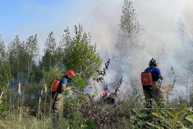 Запрет на посещение лесов Самарской области установлен с 8 до 12 июня