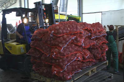 В регионе увеличили посевные площади и объемы хранилищ для снижения стоимости "борщевого набора"