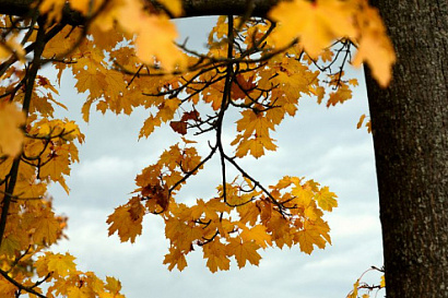 Название статьи