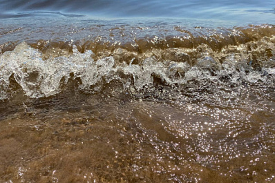 В Самарской области 13 августа женщина утонула в карьере