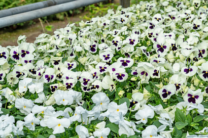 Название статьи