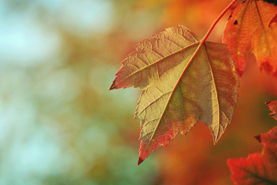 В Самарской области 30 сентября будет солнечно