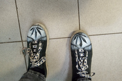 В Самарской области художника, рисовавшего коноплю, наказали за ее хранение