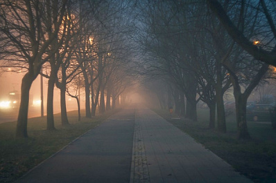 Больничный парк Жигулевска обретет новый вид 