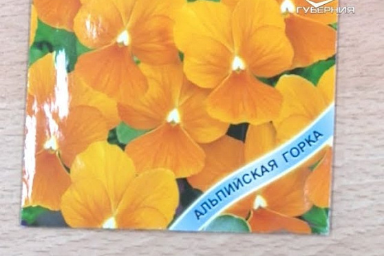 Сеем цветочную рассаду и затачиваем садовый инструмент. Удачные заметки от 30.01.2018