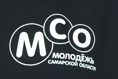 В Самаре прошел выездной семинар для молодежных совещательных структур