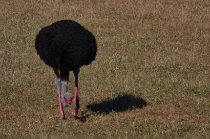 Название статьи