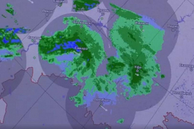 Самарские сурки предсказали погоду на февраль