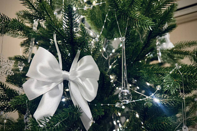 Стал известен самый выгодный период для покупки новогодней атрибутики