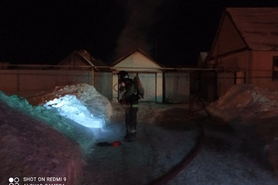 В Самарской области пожарные отстояли у огня частный дом