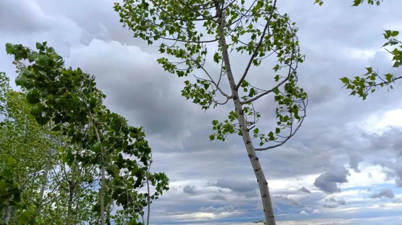 Народные приметы на 16 июня 2025 года: что нельзя делать в этот день