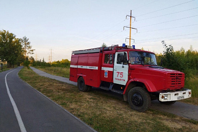 Николай Ренц: "Никогда на территории городских лесов никому невозможно будет что-то построить"