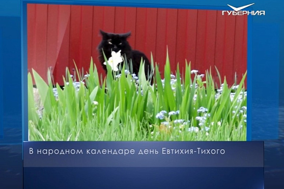 Евтихий Тихий. Календарь губернии от 6 сентября