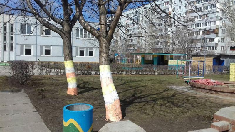 Ребенок лишился части фаланги пальца: названы виновные в происшествии в детсаду Тольятти