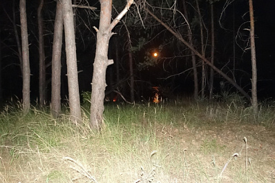 Как не потеряться в лесу: советы грибникам