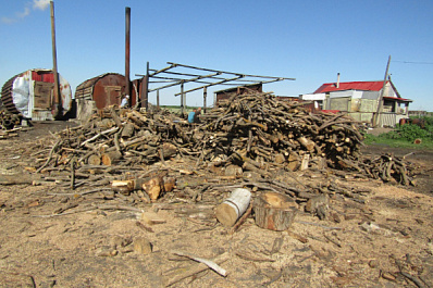 Пенсионер из Самарской области незаконно вырубил деревья на 16 миллионов рублей