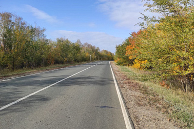 В Самарской области появилась карта ДТП с участием диких животных