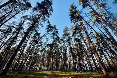 Название статьи