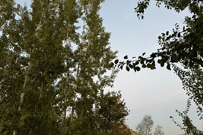 В Самарской области 22 сентября ожидается сильный и порывистый ветер 