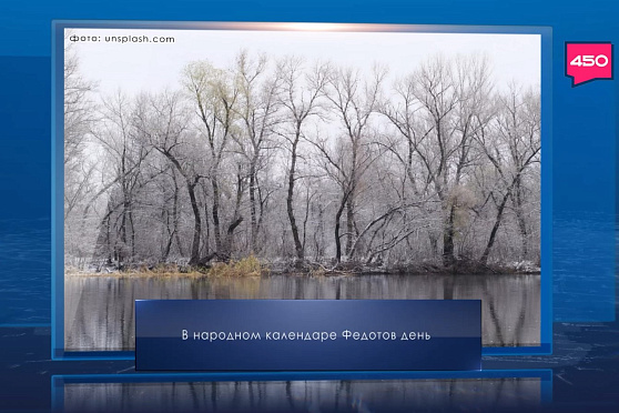 Федотов день. Календарь Губернии от 20 ноября