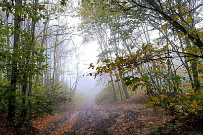 Название статьи