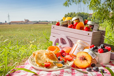 Самарский врач рассказал, какие проблемы со здоровьем могут возникнуть на пикнике