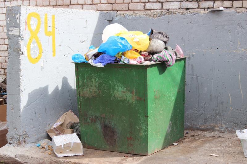 В Тольятти появятся новые контейнеры для мусора, купленные за бюджетный счет