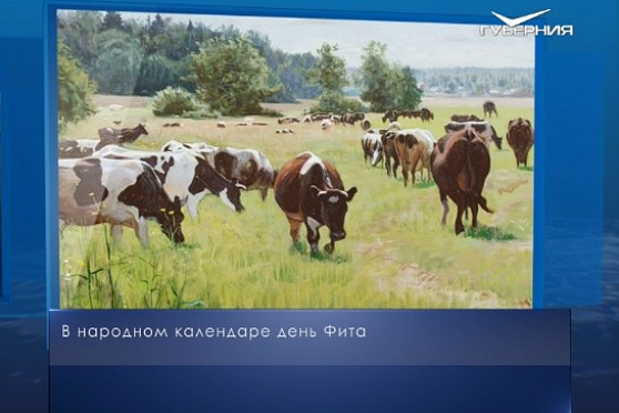 День Фита. Календарь губернии от 28 июня