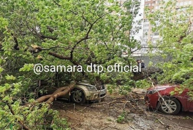В Самаре штормовой ветер повалил дерево на две припаркованные машины