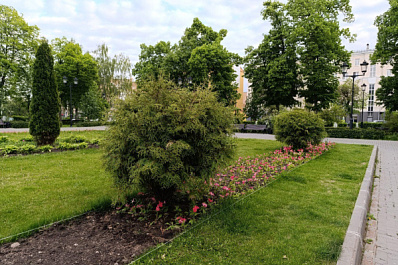 На улицах Самары траву будут косить до октября