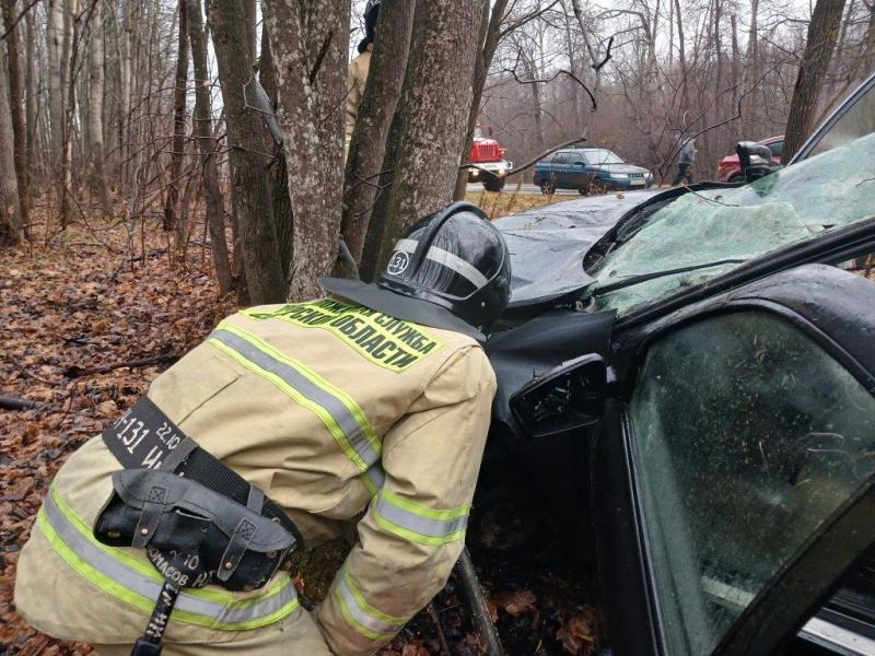 Утром 1 ноября LADA Granta сбила лося в Самарской области