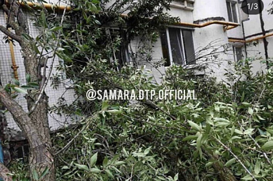 Ураган в Самаре повалил деревья и снес остановки