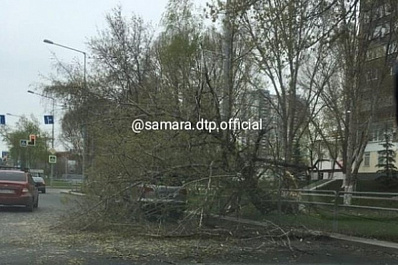 Падают деревья и крыши остановок: в Самаре бушует сильный ветер