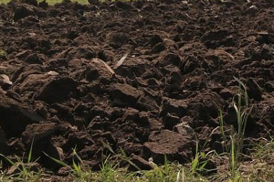 В Самарской области произошел разлив нефти на полях